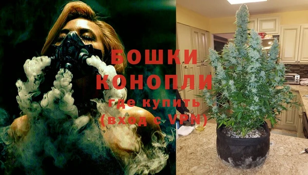 стафф Кулебаки