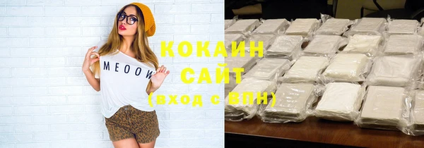 бошки Ладушкин